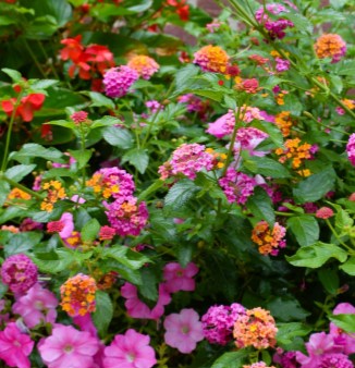 The Gathering Together